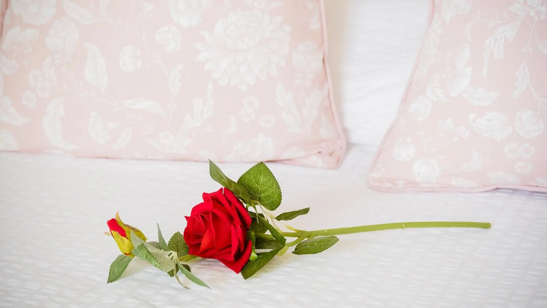 Apartamento Estella By Vive La Exclusividad Puertito de Guimar